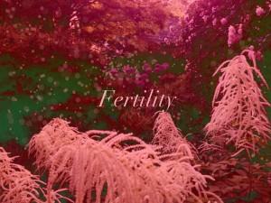 Kerry Acupuncture Fertility